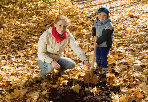 Woman And Boy  Planting  Tree In Autumn