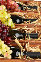 Wooden case with wine bottles close up