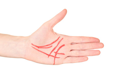 Chiromancy.Color contours on palm, isolated on white