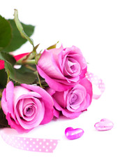 Pink roses on white