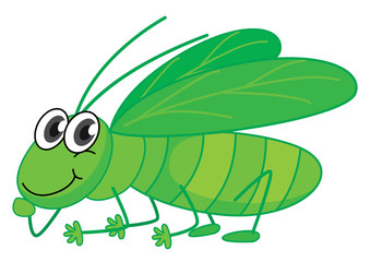 A smiling grasshopper