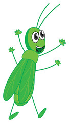 A smiling grasshopper