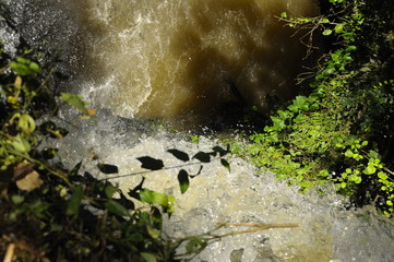 catarata iguazu 