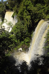 catarata iguazu 