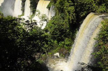 catarata iguazu 