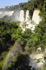 catarata iguazu 