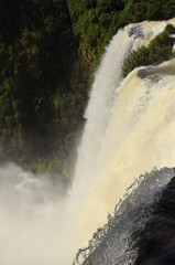 catarata iguazu 