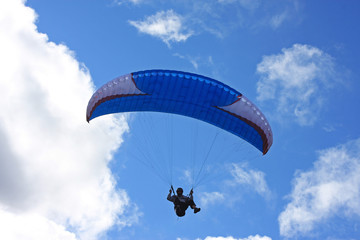 paraglider