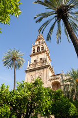 Fototapeta na wymiar Belltower Mezquita, Cordoba