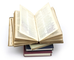 Obraz premium Pile of dog bones isolated on white