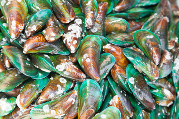 Asian Green mussel ready for sale in Thailand street market