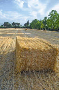 Balla di Fieno