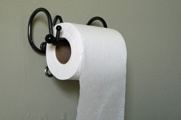 Toilet Paper
