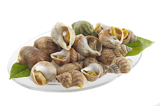 Assiette de bulots  ou escargots de mer