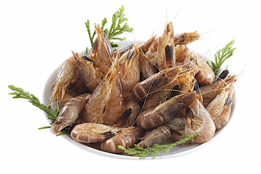 Gastronomie - Crevettes grises cuites