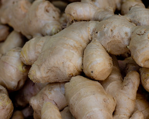 Fototapeta premium Ginger Root