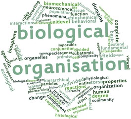 Word cloud for Biological organisation