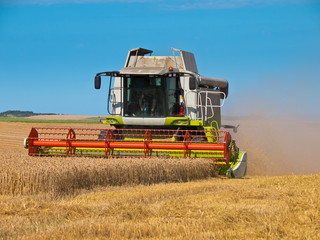 Fototapeta premium combine harvester