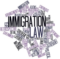 Word cloud for Immigration law