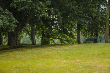 Fototapeta na wymiar Puste ławki w parku
