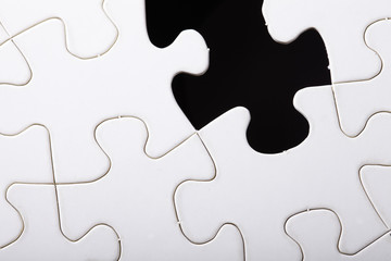 piece of jigsaw puzzle