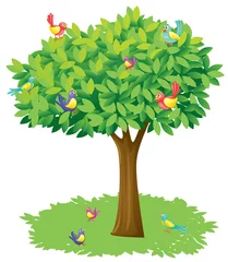 Poster Im Rahmen Ein Baum und Vögel © GraphicsRF