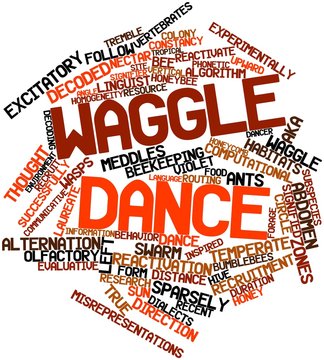 Word cloud for Waggle dance