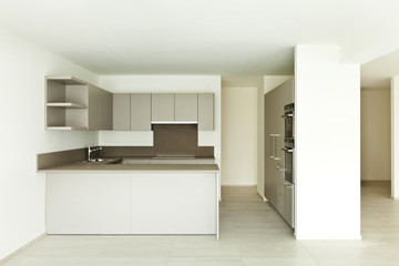 modern architecture, new empty apartment , kitchen