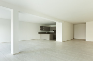 modern architecture, new empty apartment , kitchen