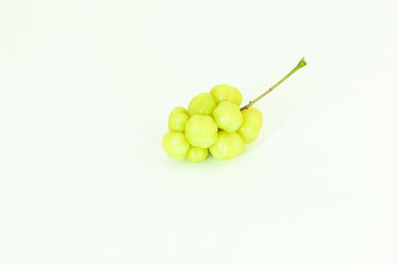 Star gooseberry