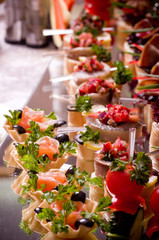 Set of tasty canape  for an event party
