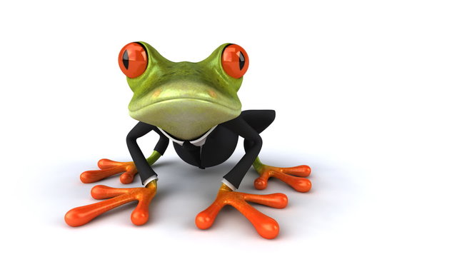 Fun frog