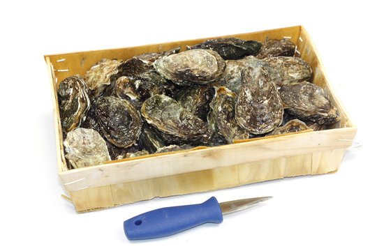 huitres
