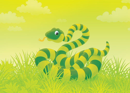 Green striped snake writhing in grass