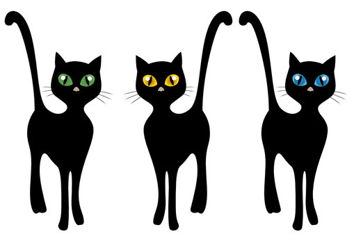 Gatti neri stilizzati con grandi occhi realistici colorati