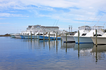 fishing boats