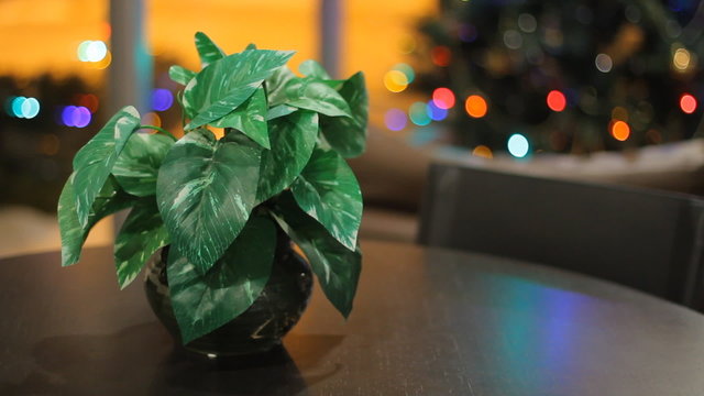 Christmas interior with plant on the table and christmas tree