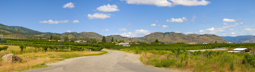 Winding road of Osoyoos Wine Valley