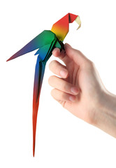 origami macaw parrot on a hand