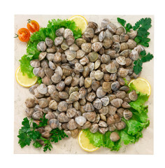 Vongole lupine - Clams