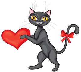 Black cat gives his heart