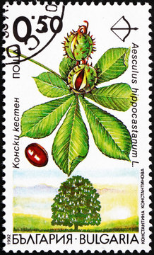 Postage stamp Bulgaria 1992 Horse Chestnut, Aesculus Hippocastan