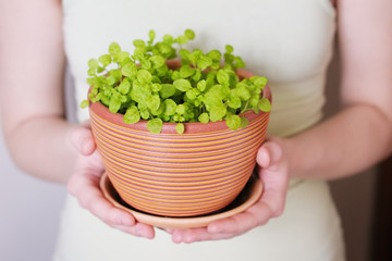 Woman holding flowerpot with sprouts in her hands