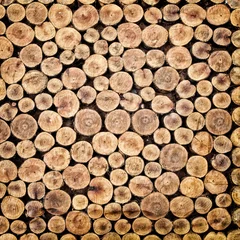 Möbelaufkleber Pile of chopped fire wood prepared for winter © Kittichai