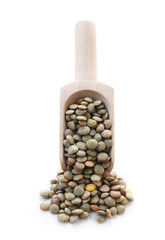 Lentils