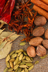 Nutmeg and other spices on sackcloth background