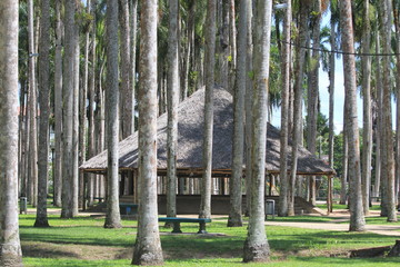 Suriname - Paramaribo - Architecture