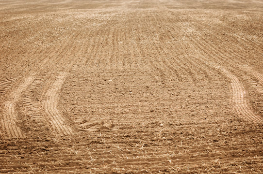 Dry soil texture