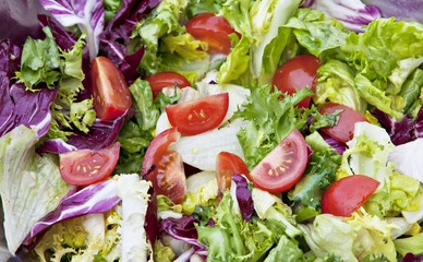Closeup of mixed lettuce salad