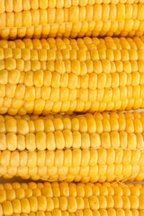 fresh corn, close up